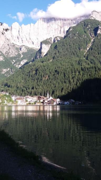 Apartament Mountain Alleghe Zewnętrze zdjęcie