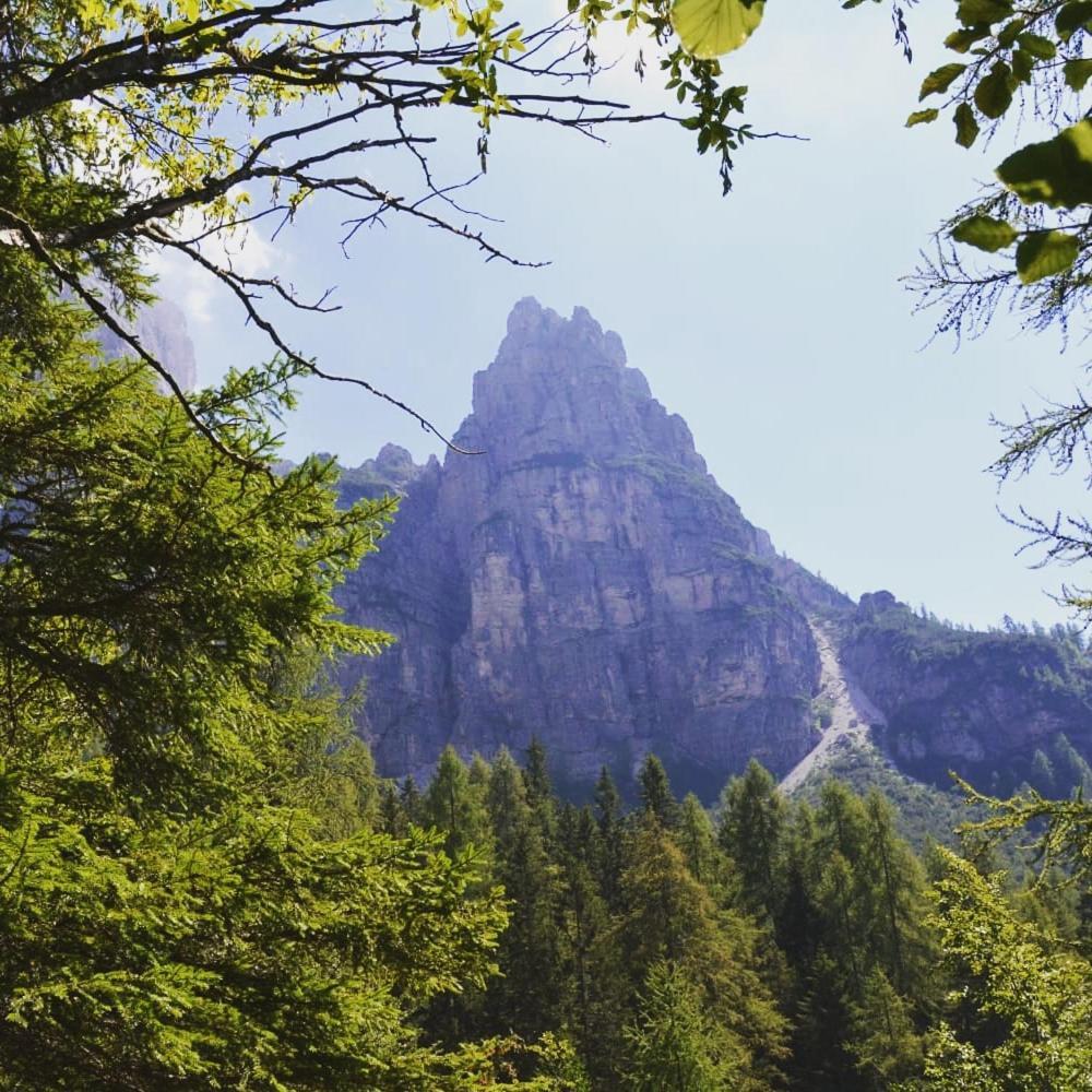 Apartament Mountain Alleghe Pokój zdjęcie