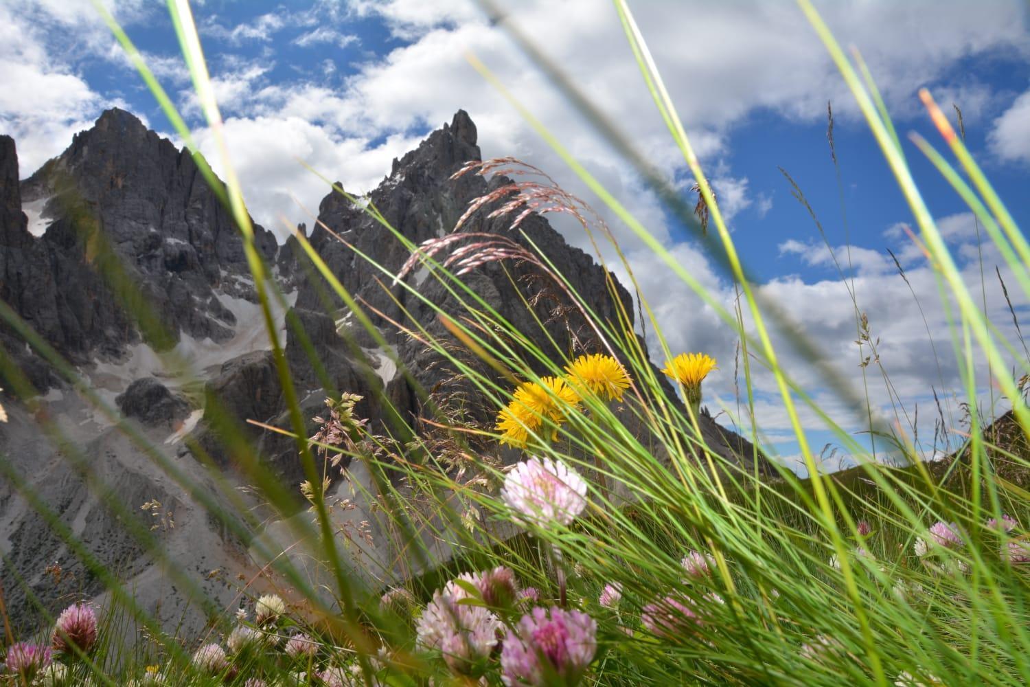 Apartament Mountain Alleghe Pokój zdjęcie